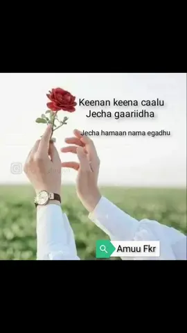 #LIVEIncentiveProgram #SideHustleLIVE #PaidPartnership 