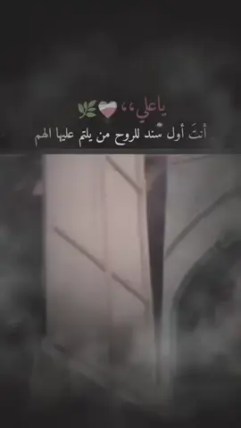 #البصره_شط_العرب ✨يا علي انت اول سند للروح