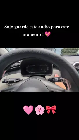 🩷🌸🎀 . . . #mujeralvolante #tucsongirl #comedia #carslover #parati