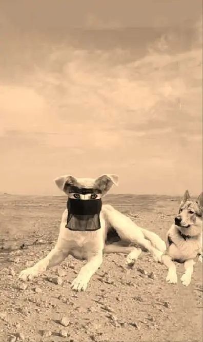 العراق العراق العراق العراق العراق العراق العراق العراق 