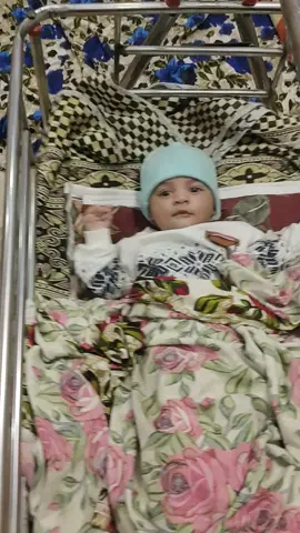 #Mamo Ki ❤️😍 #foryoupage #viral?videotiktok❤️AhsanZai 