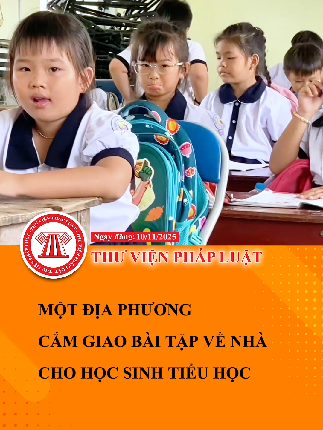 Cấm giao bài tập về nhà cho học sinh tiểu học! Hiệu trưởng phải chịu trách nhiệm nếu giáo viên vi phạm #TVPL #ThuVienPhapLuat #hoccungtiktok #LearnOnTikTok
