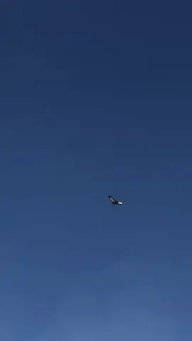 #حمام_لوت #تصميم_فيديوهات🎶🎤🎬 #للونسه_فقط😂😂 #الهوايه_عشق_لاينتهي #شعب_الصيني_ماله_حل😂😂 