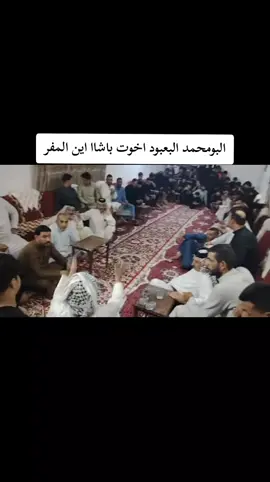 #البومحمد_باشات_العماره👑🖤 #البوعلي__اخوة_باشا #حجي_وعد🚸🔥 #الشيوخ #حجي_مصطفى 