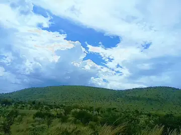 #fypage #fyp #creatorsearchinsights #viral_video #countrymusic 