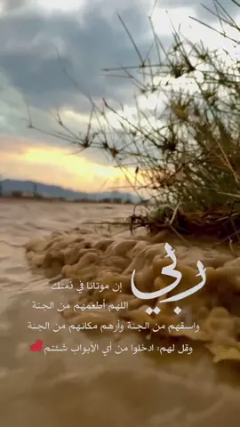 #في هذا اليوم 