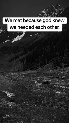 We met because god knew we needed each other. #foryou #foryoupage #virall #motivation_quotes #USA 