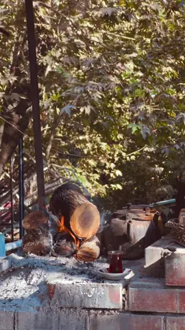 چا+پایز=ئارامی..،#چاوگ #هەڵەبجە #explore 