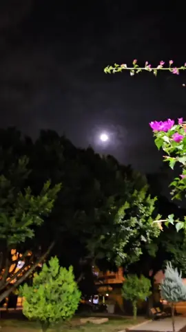 #💔🥀  #متابعة_قلب_تعليق_مشاركة_اكسبلورررر #روح_مبعثرة🥀 #تصويري #مرسين_تركيا 