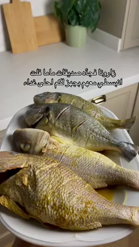 سويت الصياديه بطريقه ماما كانت لذيذه جدا 🐟 بس حسيت الرز لونه مو غامق مره  يعني لو زدت كميه البصل بالبدايه بيصير لونه اغمق بس الطعم والنكهه ولا غلطه  ماتتخيلون قد ايش امي وصحباتها انبسطوا بالغداء كان جدا لذيذ  طبعا البساط احمدي تغدينا بالحوش وهذي كانت اجمل فقره 😍😍😍 #طبخات_سهله #نوره_السالم #cooking #fpyシ #الشتاء 
