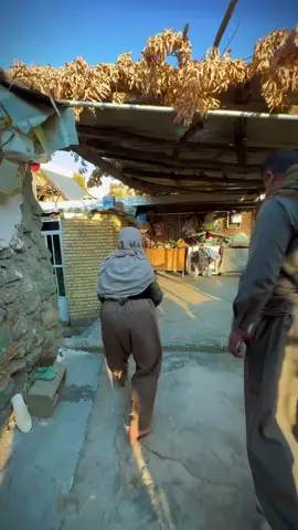 #foryoupageofficiall #ئەکتیڤبن🥀🖤ـہہـ٨ــہ #KURDISTAN 