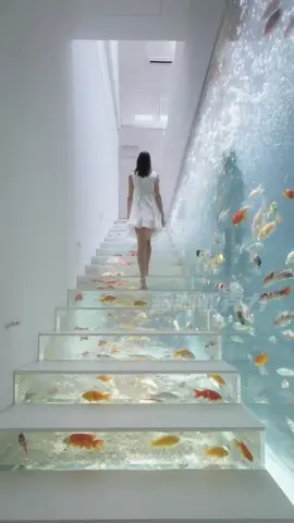 #tiktokgiaitri #xuhuongtiktok #xuhuongfacebook #giaitri #cácảnhđẹp #mêcácảnh #xuhuong #tiktok #cácảnh #cá #fpy #shortbodyfish #cachepphitan #cacanh #cachepsutu #cachepphitanvip #facebook #cacanhanhsaomai #chepsutu #nghechuchot #viralvideo #LearnOnTikTok #cachepsutuvip #carong #arowana #caloc #cakieng #trend #ott #phitan #cáchépsưtử #chépsưtử #chépsưtửtrắng #thuysinh #guppy #betta #aquarium #locnuoihoca