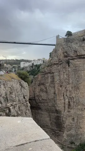 #constantine #chic #cargo 