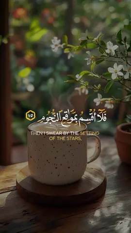 #قران_كريم #quran #تلاوات #اكتب_شيء_تؤجر_عليه🌿🕊 #اعجاب_تعليق_اكسبلور_متابعة❤️❤️❤️ 