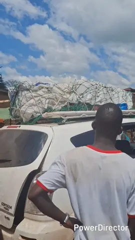 nous sommes à fogna 