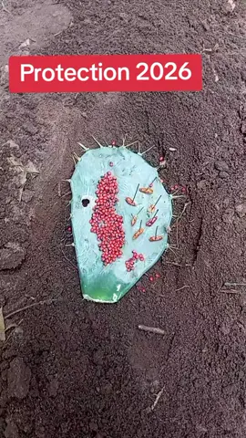 +229 47 *40 *37 *43  #egypt🇪🇬 #france🇫🇷 