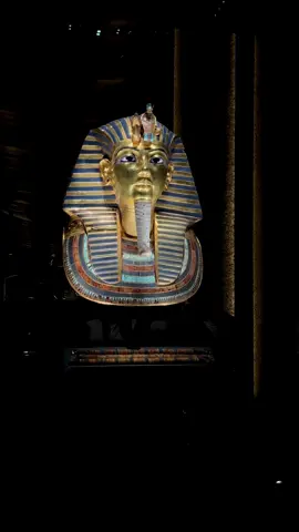 What a beauty ❤️😍 @Grand Egyptian Museum #egypt #tutankhamun #egyptianmuseum 