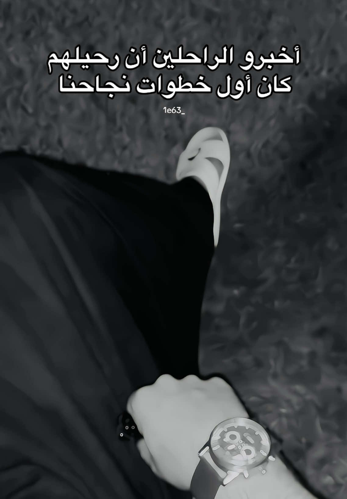 #creatorsearchinsights  🤫🫡#نسر_آل_دليم🦅 