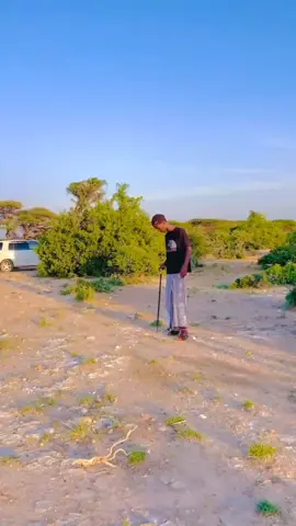 𝗥𝗘𝗣𝗢𝗦𝗧𝗜𝗚𝗔 𝗜𝗚𝗔 𝗗𝗛𝗜𝗦𝗔 𝗵𝗶 𝘀𝗼𝗼𝗾𝗼𝗿 #𝗴𝗮𝗹𝗱𝗼𝗴𝗼𝗯 #𝗽𝘂𝗼𝗻𝘁𝗹𝗮𝗻𝗱 #𝘀𝗼𝗺𝗮𝗹𝗶𝗮 #somalitiktok12  #tiktok  #CapCut  #fyppppppppppppppppppppppp  #𝗳𝘆