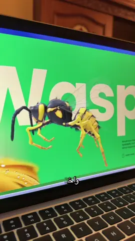 فرق رهيب بصراحه 🤯 #blackboxai #tipsandtricks #studywithrowan #fyp #aitools 