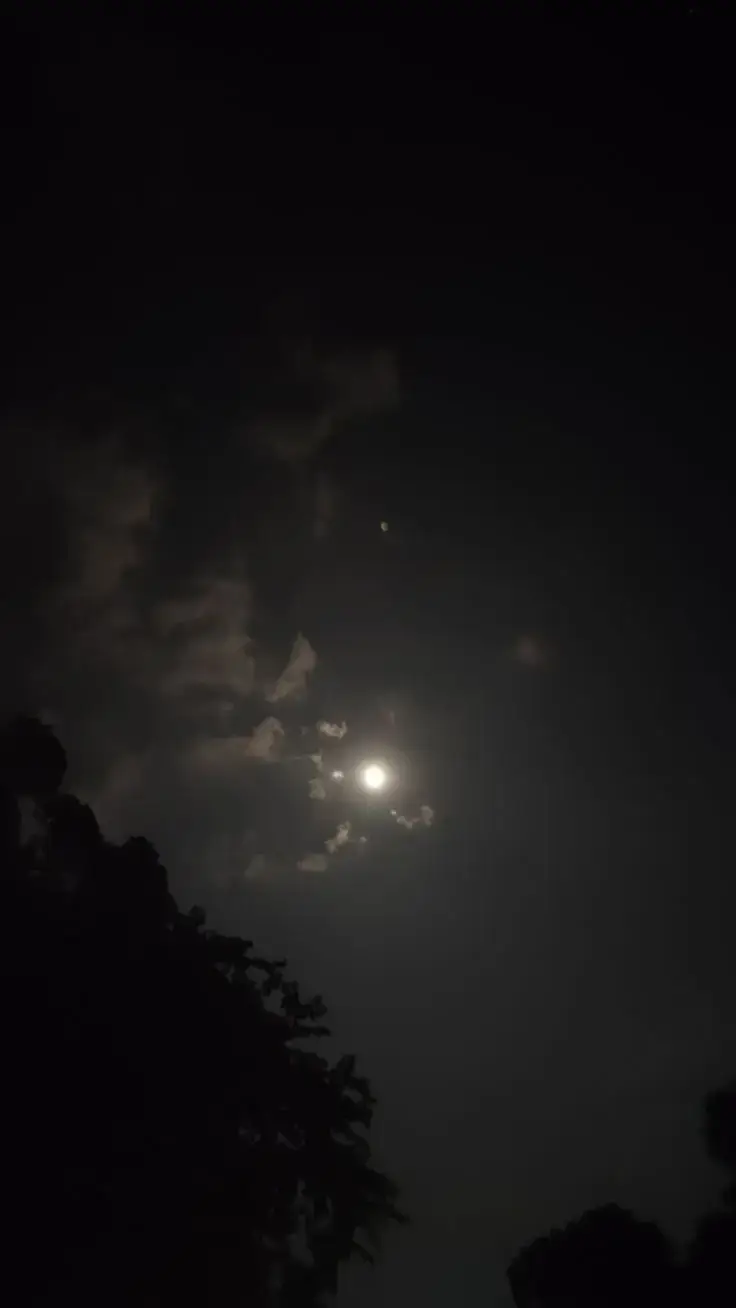 #شايف_ظلم_بعيني_بس_مابحكيش💔  #حزينہ♬🥺💔 #اكسبلورexplore❥🕊 