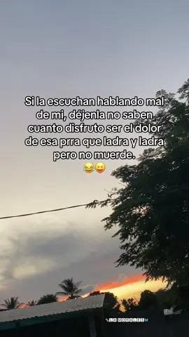 #perrita 🐶 #indirectas #paratiiiiiiiiiiiiiiiiiiiiiiiiiiiiiii #viraltiktok #fyp 