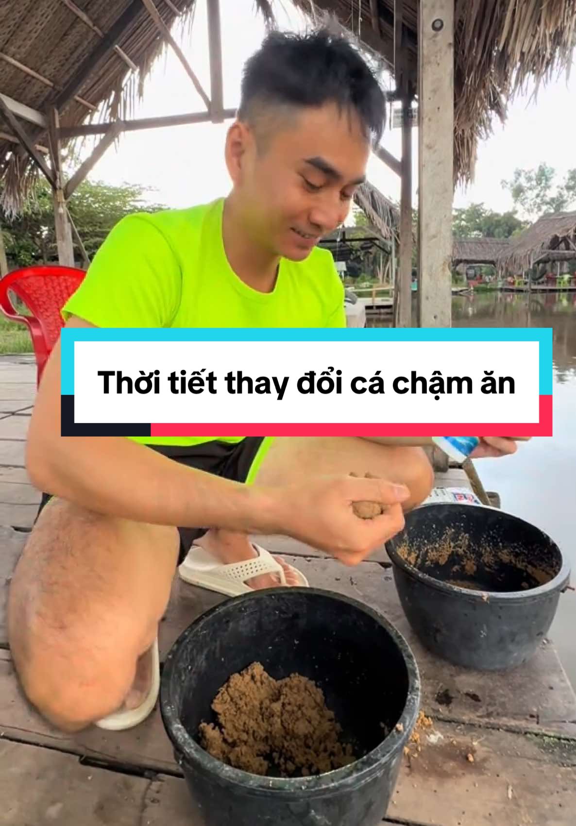 Cá rô phi chậm ăn thì thêm cái này rô đa tầng#cauca #docauca #fishing 