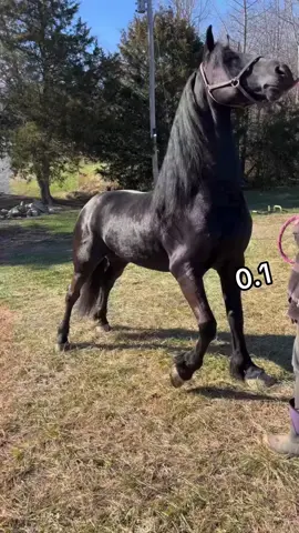 #fyppppppppppppppppppppppp  #رحموني👑  #فرسان_برقه_في_رعايت_الله🔥🇱🇾  #فرسان_برقه🖤🔥✊🏻 