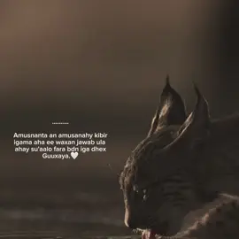 adna su'alo ha igu dirin. 🤦🏾‍♂️🖤