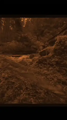 #علي_بن_ابي_طالب