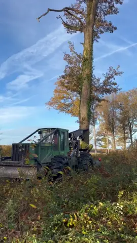 #stihl #forest #nature #woodworking #pourtoi 