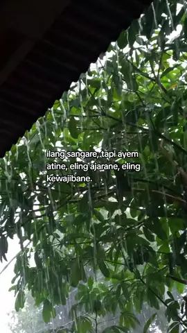 udane deres #storytime #fyp #foryoupage 