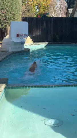 Someone likes the new pool…