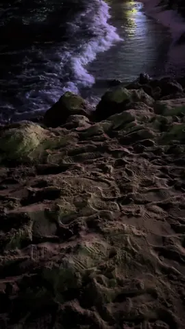 #حقل #fyp #نيوم #هواجيس 