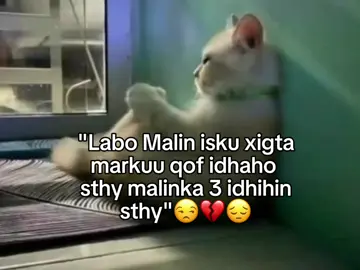 😔🙏🏻💔 . . . . . . . . . . . . . . . . . #unfreezemyacount #naaney #viewsproblem💔😔 #foryoupage #fypシ゚ 