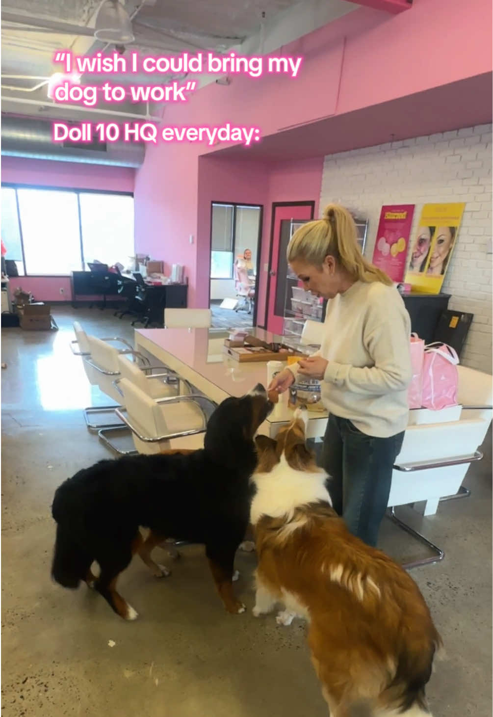 The Doll 10 dogs clock into work everyday too🐶💗✨ Did you know? Every year we sponsor 50+ pet adoptions at our local animal shelter through our Dolls 4 Paws initiative! 🥰💕  #doglover #cruetlyfree #dogsintheoffice #dogsatwork #petfriendlyoffice 