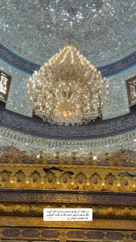 دخيل اسمك يا ابو فاضل 🤍.  #ياعباس_دخيلك_تسمعني_وادري_ماتخيبني 