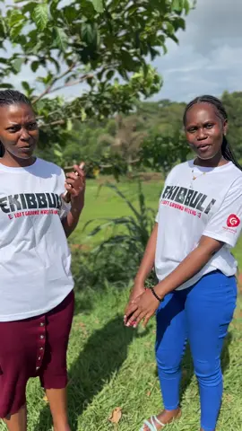 Don’t miss 30th November sgw awakening #SoftGroundWrestling #SGW #fyppppppppppppppppppppppp #Solana 