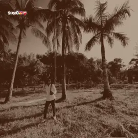 #CapCut Song💝❤️‍🩹 #newtrending #template #foryou #foryoupage 