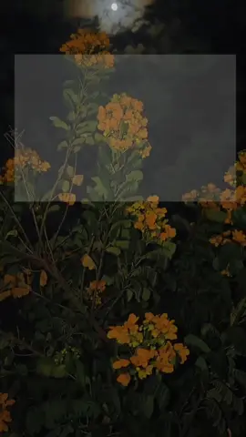 إِلَهِي، يا مَلَاذَ القُلُوبِ عِنْدَ حَسَرَاتِهَا  ويا مَن يُنعِشُ الرُّوح  فِي ضِيقِ أَنْفَاسِهَا  وَيا سَكِينَةَ النَّفْسِ فِي اضْطِرَابِهَا نَلْجَأُ إِلَيْكَ عَنْ كُلِّ حِمْلٍ يَثْقُلُ قُلُوبَنَا  وَنَسْتَغِيثُ بِرَحْمَتِكَ فِي كُلِّ ضِيقٍ يُخْنِقُ أَنْفَاسَنَا فَكُنْ لَنَا عَوْنًا لا يَفْنَى  وَسَكِينَةً لا تَزُول وَيَقِينًا رَاسِخًا لا يَتَزَعْزَع وَاجْعَلْنَا مِنَ الوَاثِقِينَ بِأَنَّ الأَقْدَارَ بِيَدِك  وَأَنَّ الخَيْرَ كَامِنٌ فِيمَا لَمْ نُدْرِكْهُ بَعْد #viral #fypシ #fyp #foryou 