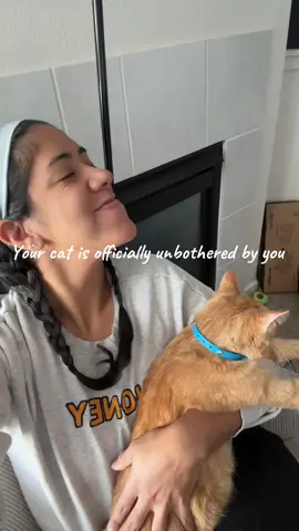 Cat parents unite 🤣 #catmom #cattok #unbotheredqueen 