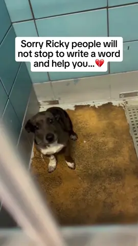 We need your help 💔😢