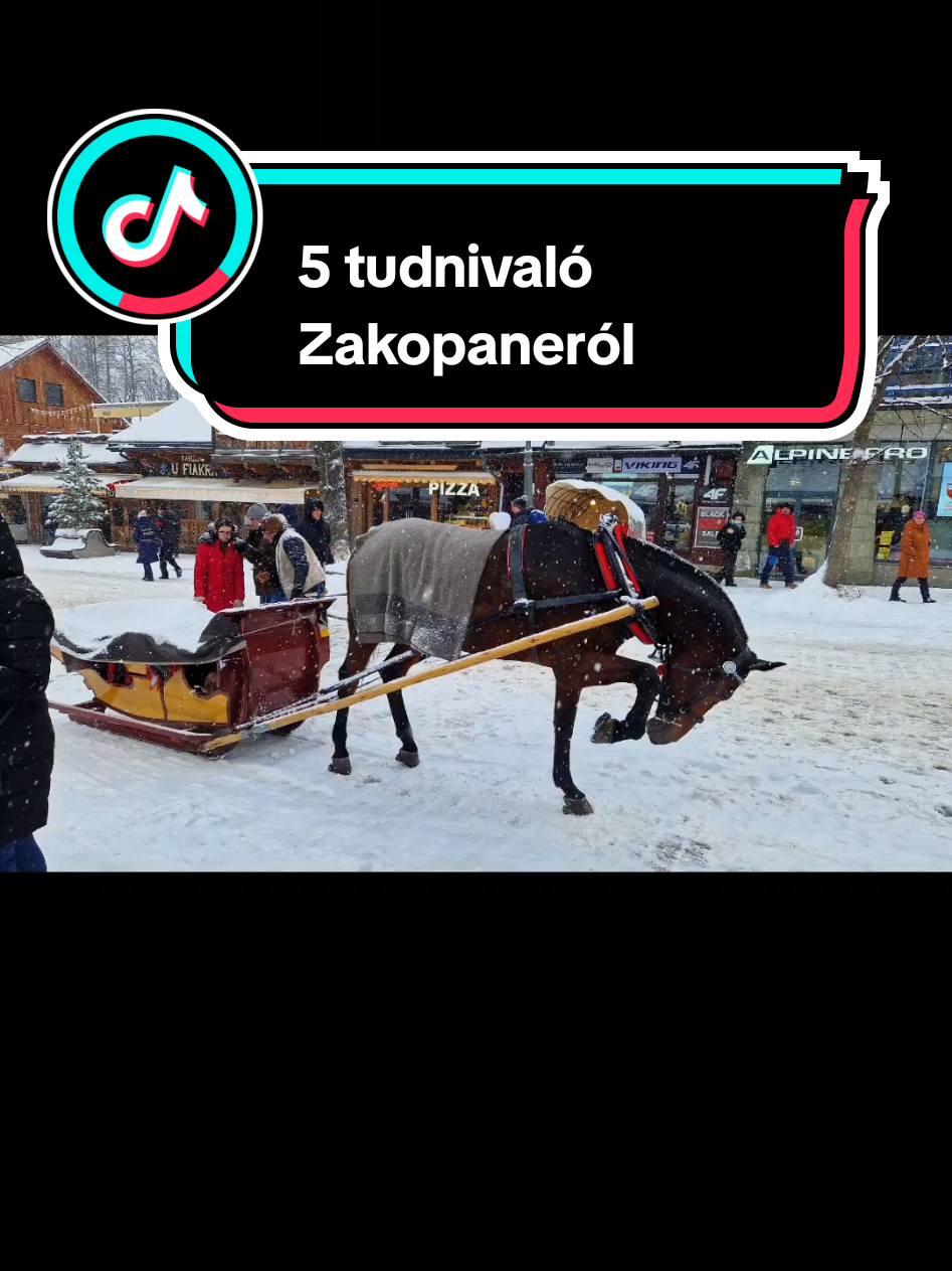 Zakopane most igazi téli sláger, de van pár dolog, amit jó, ha előre tudsz! ☃️🎄 Téged mi érdekelne még Zakopanéval kapcsolatban? 😊 #zakopane #travel #traveltips #foruyou #timivelutaztok 