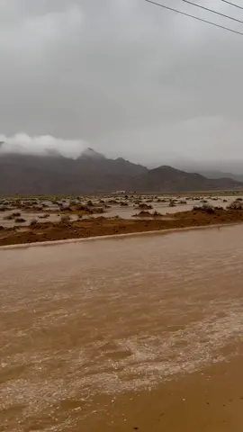 سيول الناصفة #ابانات #اجواء_الشتاء #اكسبلورexplore 