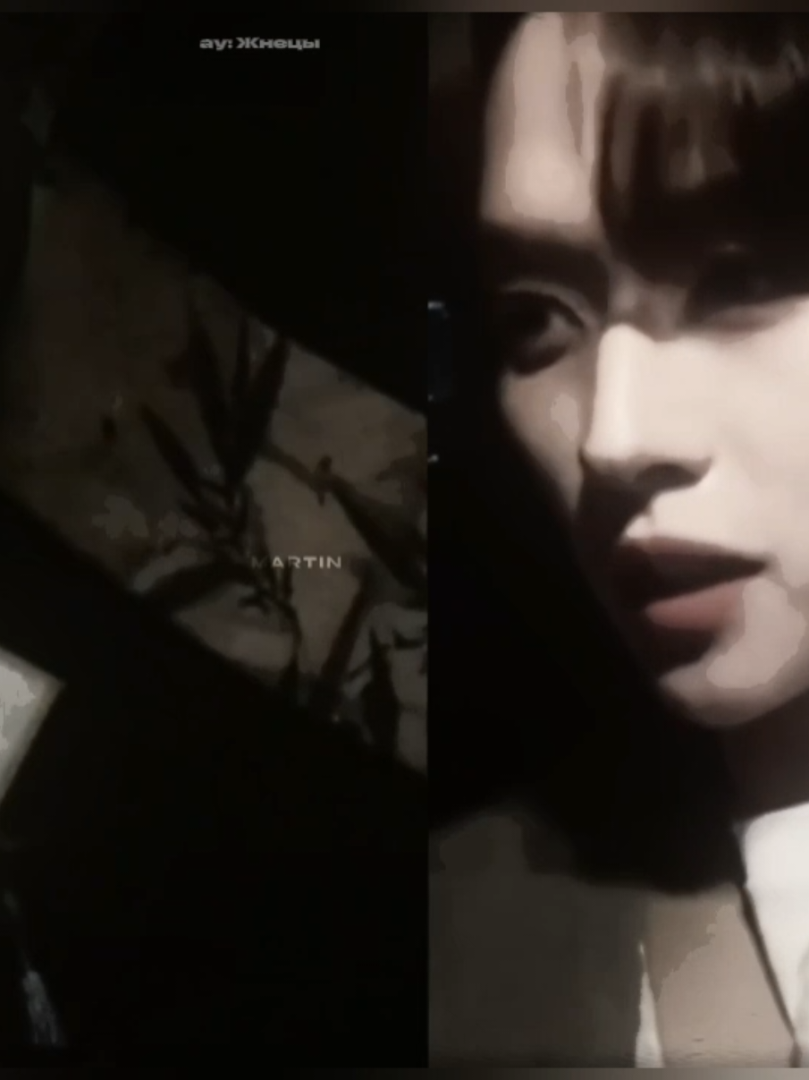 #reapersofdeath_au #Жнецы #leeminho #вирт #fyp #скз #фф #минсоны 