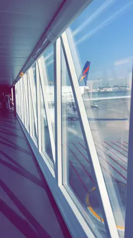 #الشعب_الصيني_ماله_حل😂😂 #راحه_وطمأنينه_للقلب 