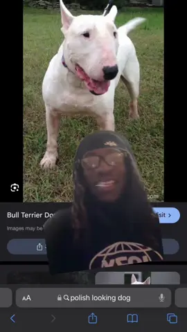 #onthisday a year ago today the war started. And hasn’t ended. #reefatv #foryou 