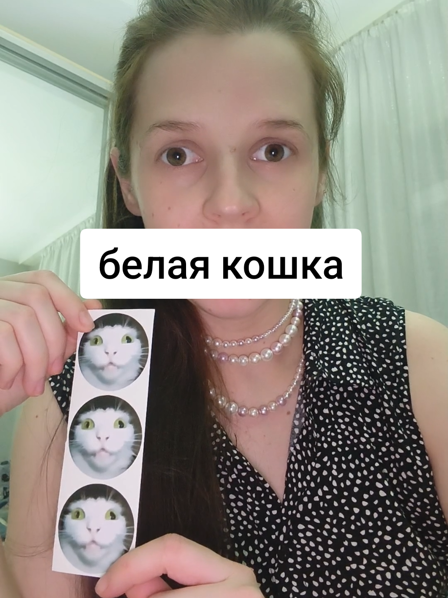 #белаякошка #горячейводынесуществует #явамговорила 