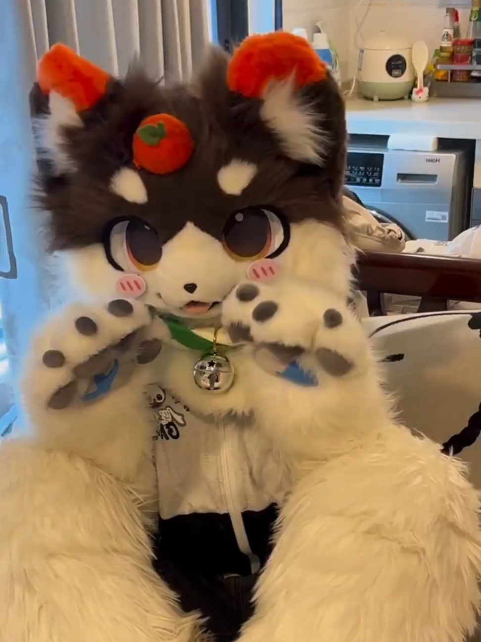 Come get your daily dose of cute kitten! ( 小红书: @小緒斑斑（停委版 ) #kemono #kemonofursuit #furry #fursuit #furrycommunity  FYI this is not me!