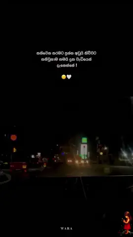 තමන් විසින් හදාගෙන තමන් විසින්ම විදවන දේ තමයි දුක කියන්නේ..🥲💔#sinhala#govirel#fypシ゚ #viralvideo #tfypppppppppppppppppppppppppppp 